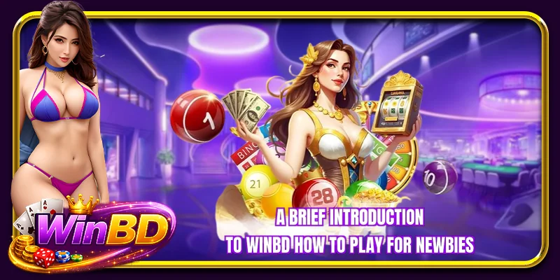 A brief introduction to WINBD how to play for newbies