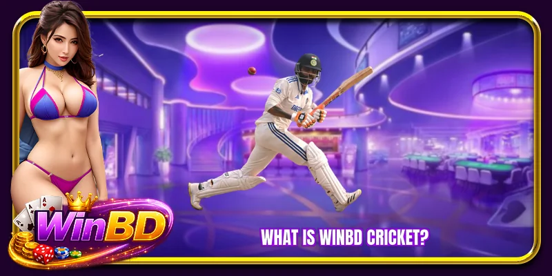 What is WINBD Cricket?