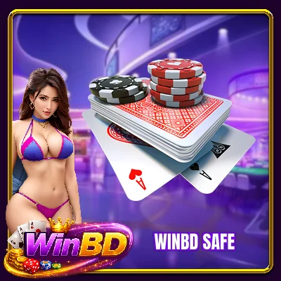 WINBD Safe - 3 Key Factors For The Most Accurate Review