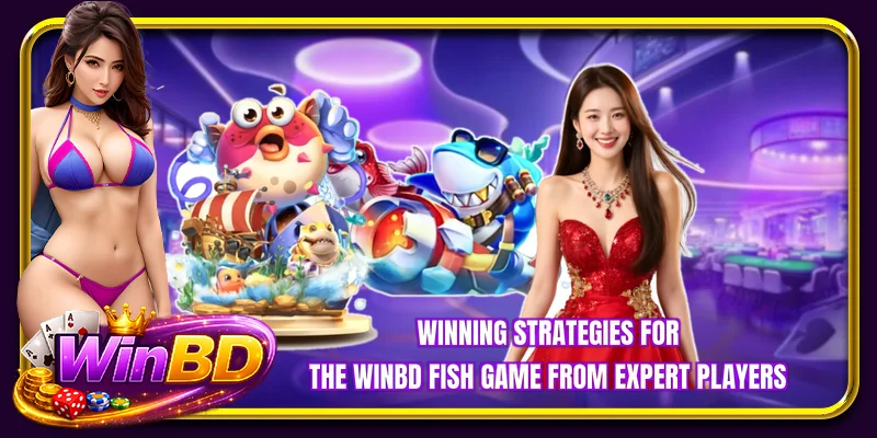 Winning strategies for the WINBD fish game from expert players